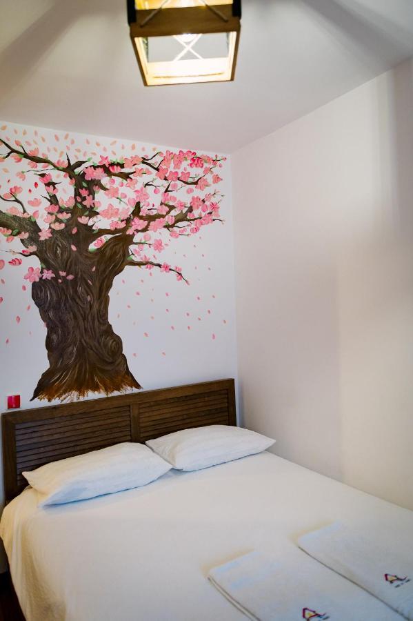 House Of Colors Apartment Petrosani Bagian luar foto